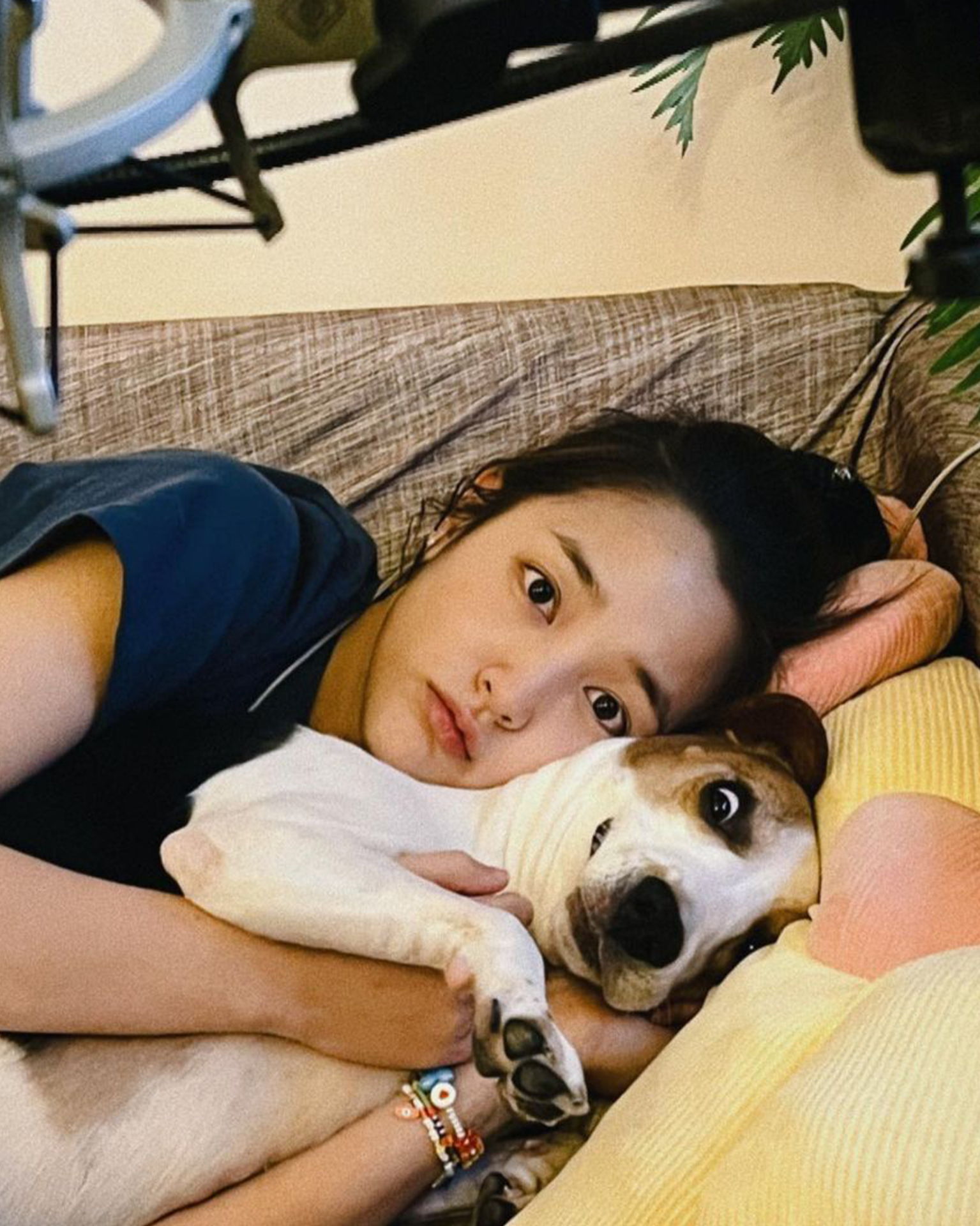 王淨的5個小秘密？她是如何開啟演藝生涯？