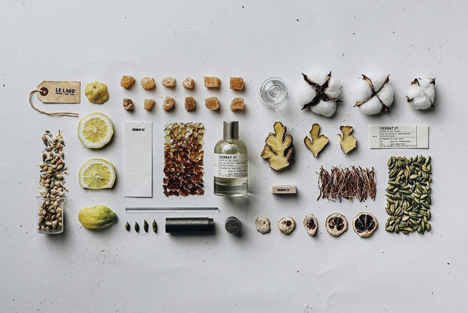 Le Labo的城市限定！9月如何挑選City Exclusive系列？